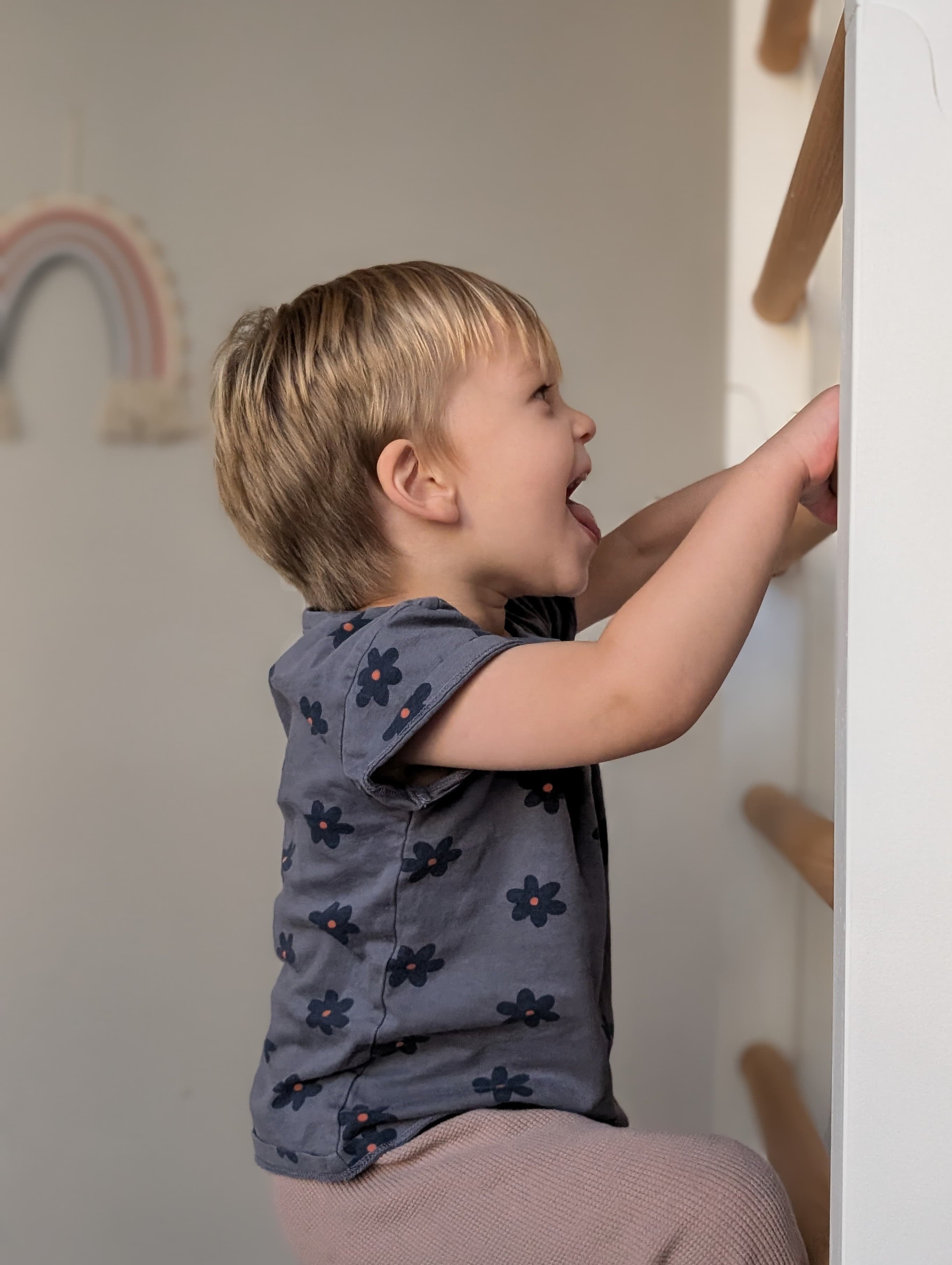 Sprossenwand mutig maxi